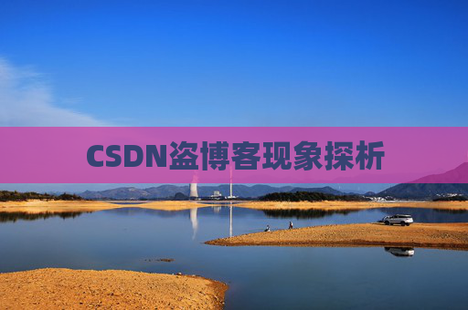 CSDN盗博客现象探析 CSDN盗博客现象探析